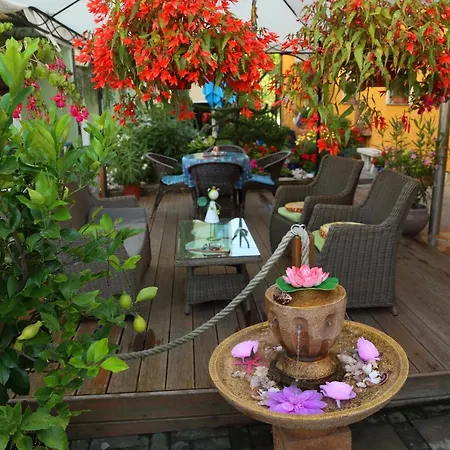 Bed & Breakfast Sonce