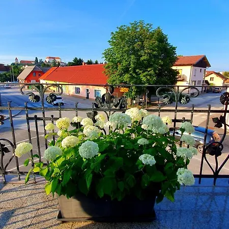 Sonce Oda ve Kahvaltı Ptuj