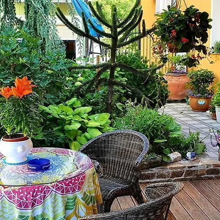 Bed & Breakfast Sonce