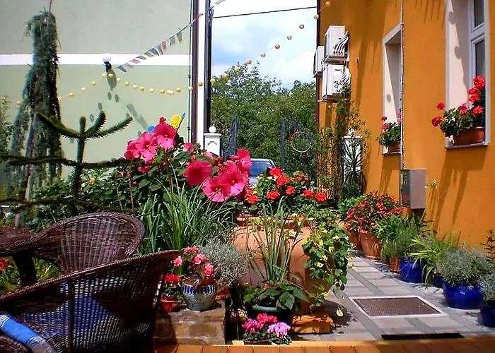 Sonce Bed & Breakfast