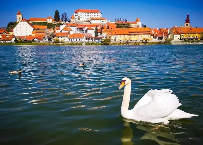 Sonce Bed & Breakfast 3*