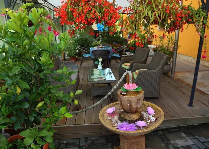 Sonce Bed and Breakfast